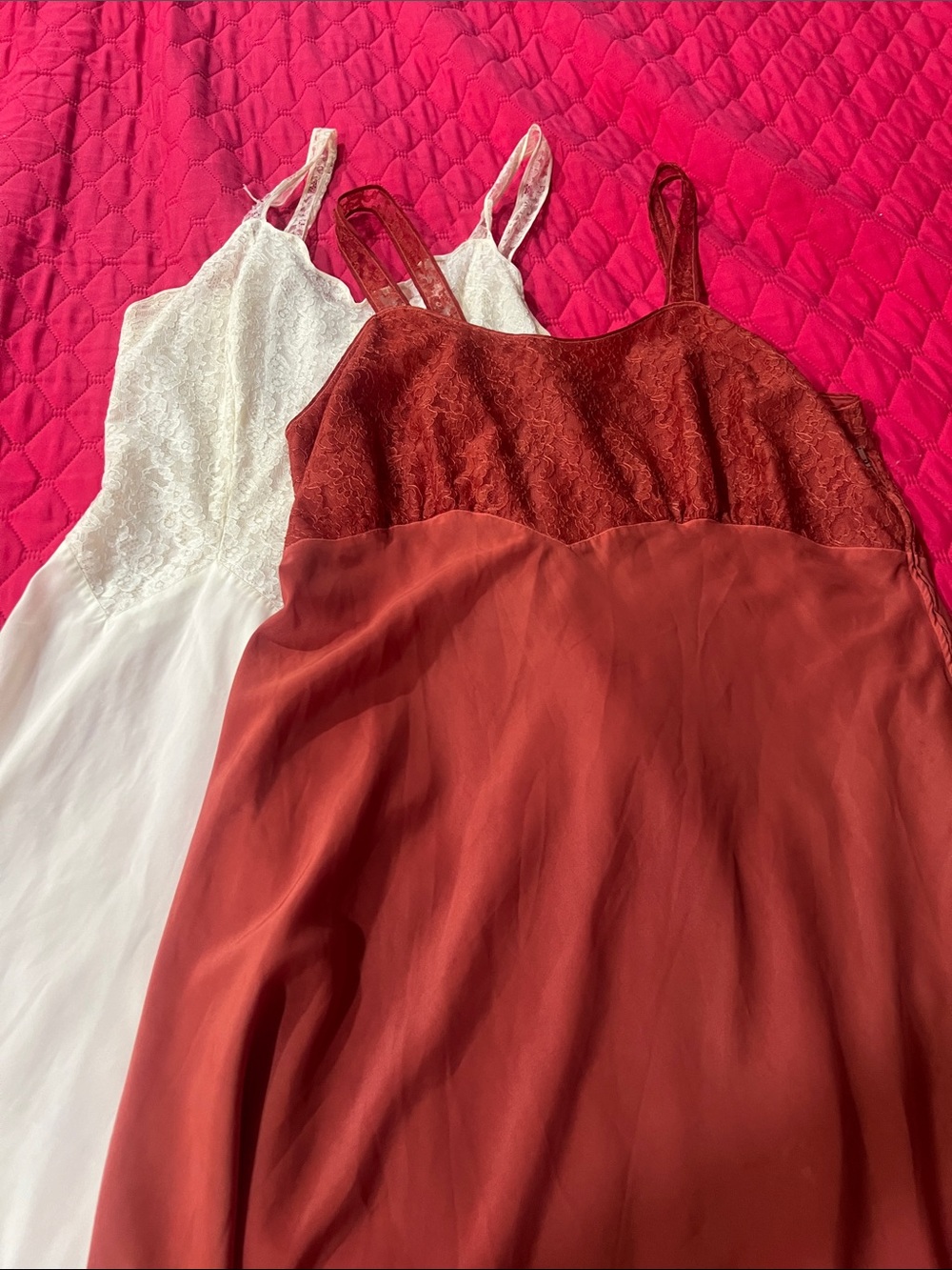 Barbizon Vintage Bundle of Two Slips